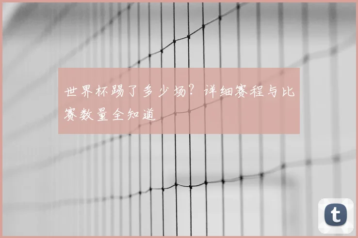 世界杯踢了多少场？详细赛程与比赛数量全知道
