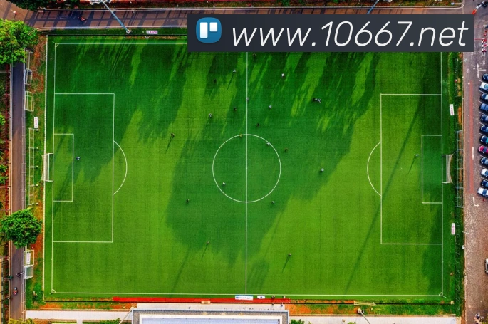 半岛在线体育APP 体育赛事宣传图